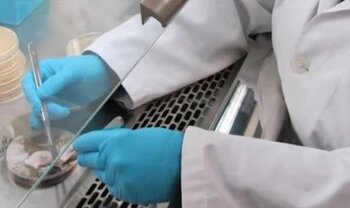 Subasta de lote de maquinaria y utensilios de laboratorio en Sevilla