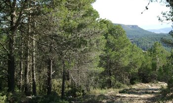 Venta de terreno en la LLacuna (Barcelona)